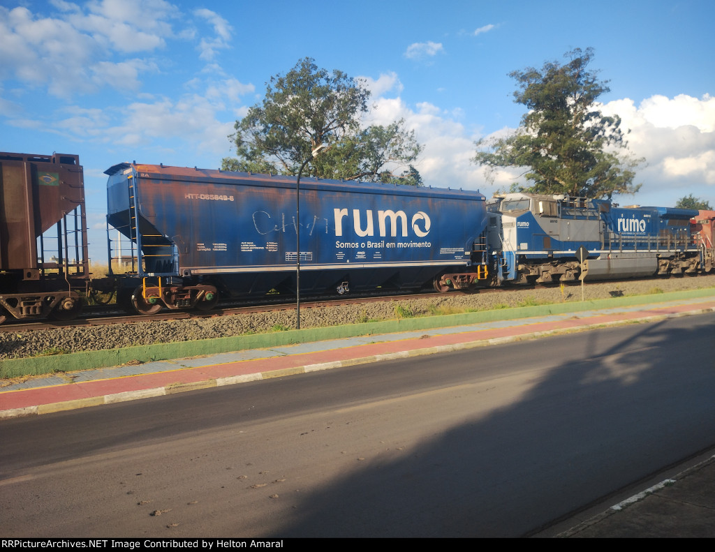 RUMO HTT-065649-6
